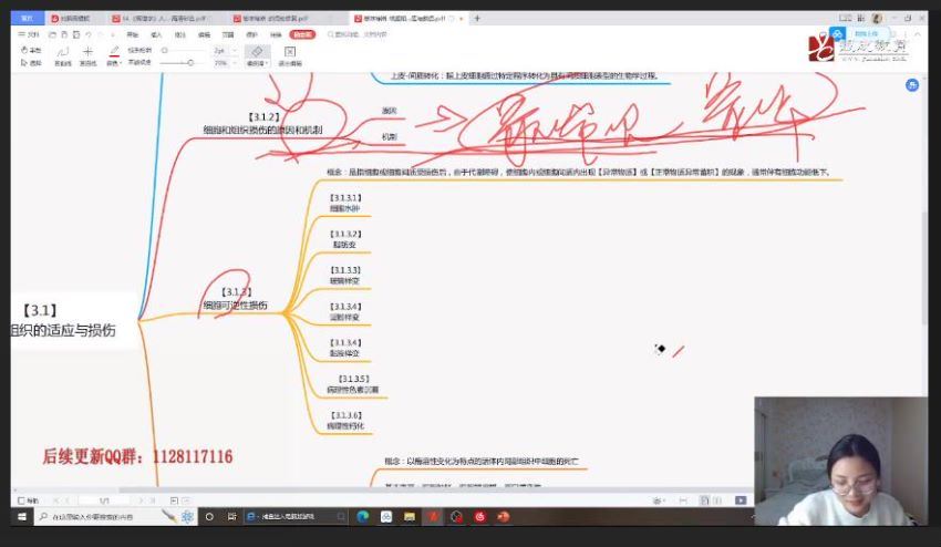 2024考研西医综合：[贺银城西综早鸟班] 网盘资源