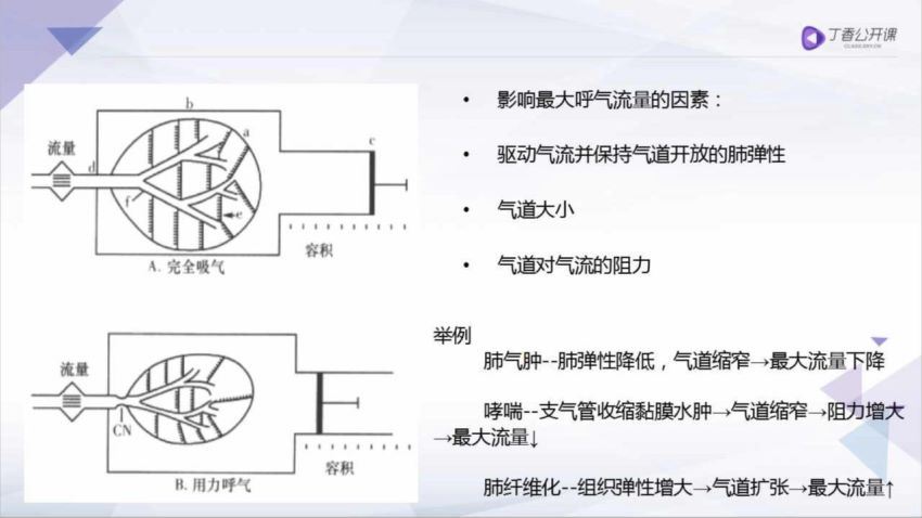 丁香园：手把手教你读懂肺功能测定【共9节】【全】【248元】