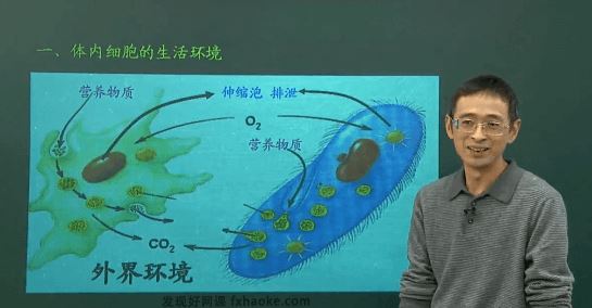 林祖荣高二生物必修三同步提高班视频课程(人教版 含资料)百度云网盘