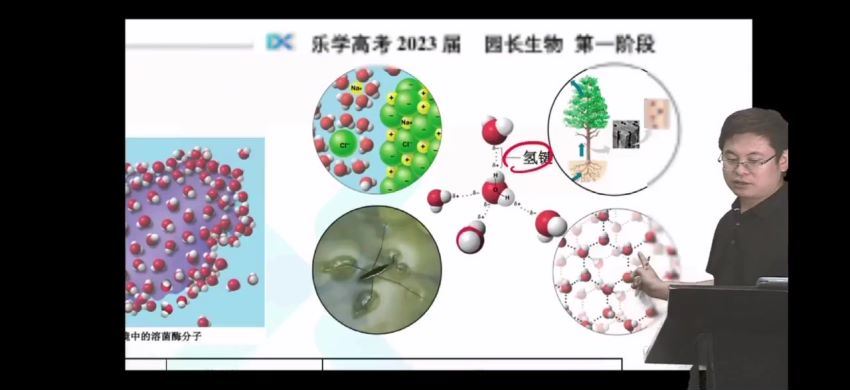 2023高三乐学系列生物任春磊第一阶段(一轮)