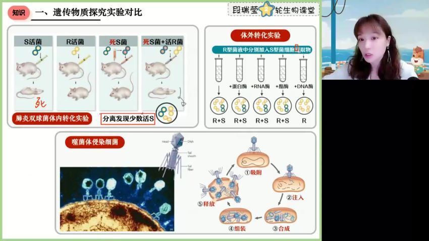 2023高三高途生物段瑞莹（箐英班）二轮春季班 网盘资源