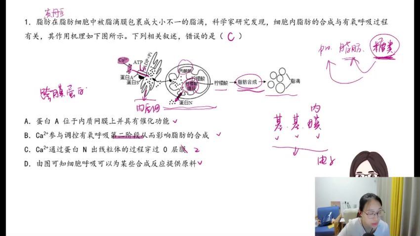 2023高三腾讯课堂生物周芳煜暑秋一轮复习 网盘资源