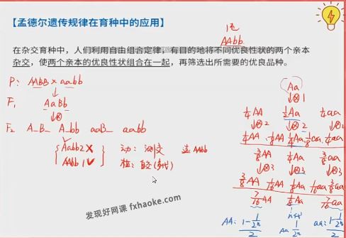 周云2025届高一生物下学期A+寒春提升班 百度网盘