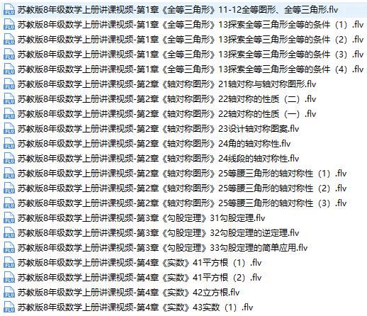 苏教版(初二)八年级数学上册视频网课同步讲课辅导课程全集(上学期 32讲)