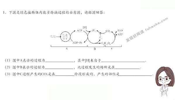 [周芳煜]煜姐生物2022届高考生物二三轮联报视频网课资源-