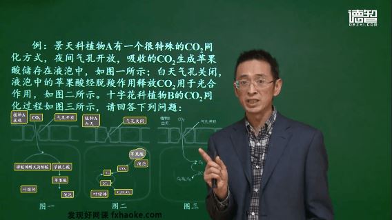 林祖荣高考生物解题策略高分攻略讲课视频(3讲)百度云网盘