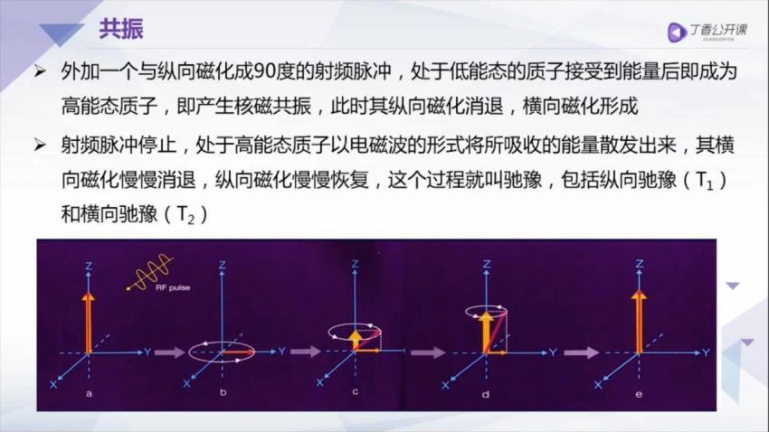 丁香园：手把手教你系统解读颅脑 MRI【共10节】【全】【268元】