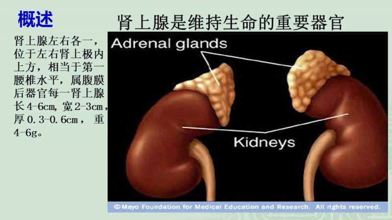 丁香园：纠酸补钾