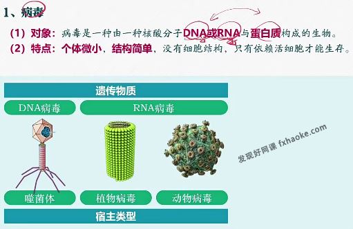 2024李林高一生物必修一同步讲解课资源下载(分子与细胞)