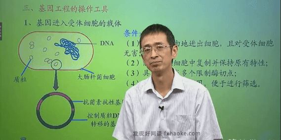 林祖荣高三生物选修三同步提高班视频课程(人教版 含资料)百度云网盘