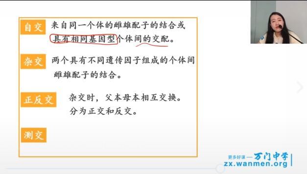 新人教版高中生物必修2知识串讲辅导视频网课(翟思茗 11.9h)网盘资源