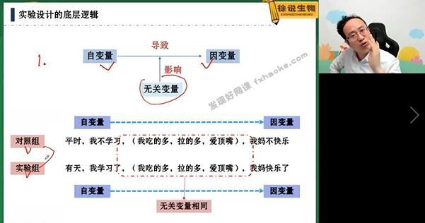 徐京2022年高考生物点睛班知识串讲专题课程(含讲义资料)网盘分享