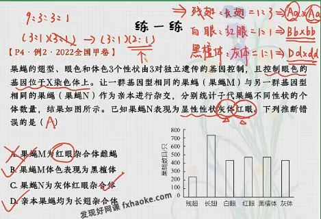 谢一凡2024届高二生物上篇A+暑秋联报班百度网盘