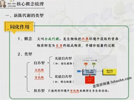 谢一凡2024届高二生物下篇寒假春季同步提升(A+)网盘资源