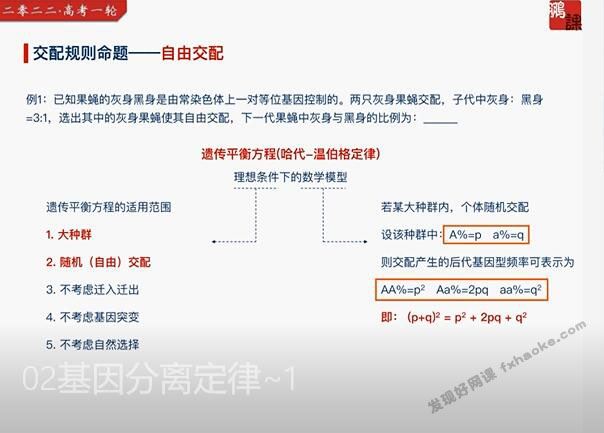 张鹏2022届高考生物一轮目标A+班课程视频资源(含电子讲义)网盘资源