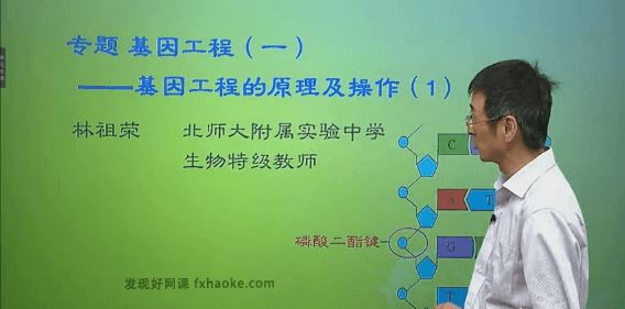 林祖荣高三生物选修三同步提高班视频课程(人教版 含资料)百度云网盘