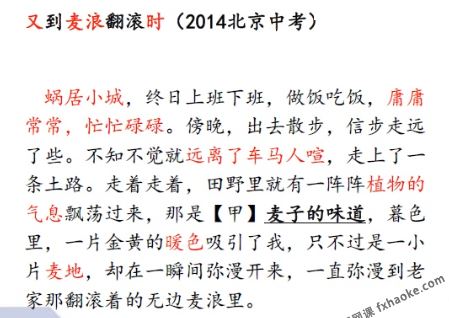 邵鑫 语文阅读真的很难提分第一季讲课视频(含电子讲义)百度网盘