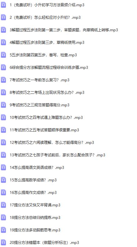 温爸教子《六年级小升初孩子提分策略》音频Mp3课程 百度云网盘