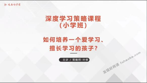 小学深度学习策略-学霸养成计划视频讲解课程-网盘资源