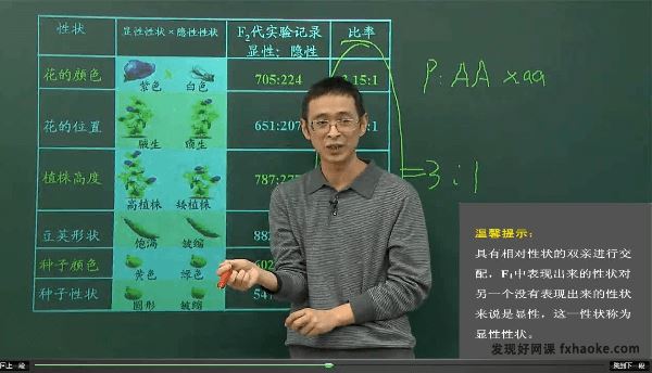 林祖荣高一生物必修二同步提高班视频课程(人教版 含资料)百度云网盘