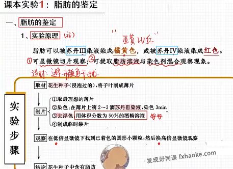 杨雪生物2023届高三A+班暑秋联报网课资源(含资料)百度网盘