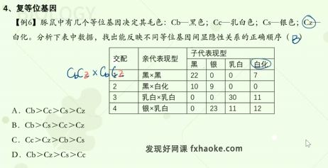 周芳煜高一生物必修二同步提高班视频课程(遗传与进化)