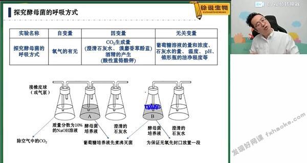 徐京2022年高考生物二三轮寒假+春季联报辅导课程(全国卷)网盘资源