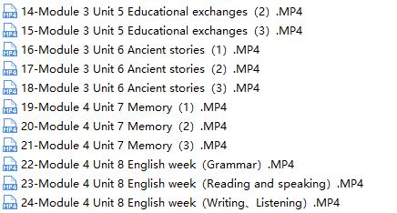 沪教版(三起点)初中英语八年级上册同步讲课教学视频(上海教育出版社 24讲)