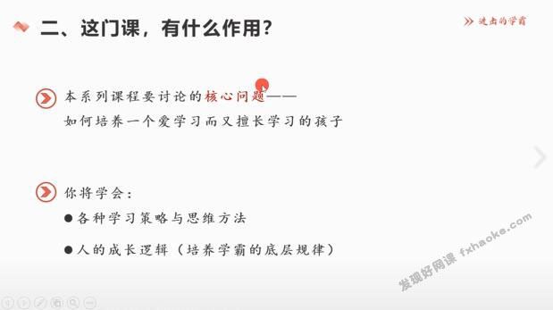 小学深度学习策略-学霸养成计划视频讲解课程-网盘资源