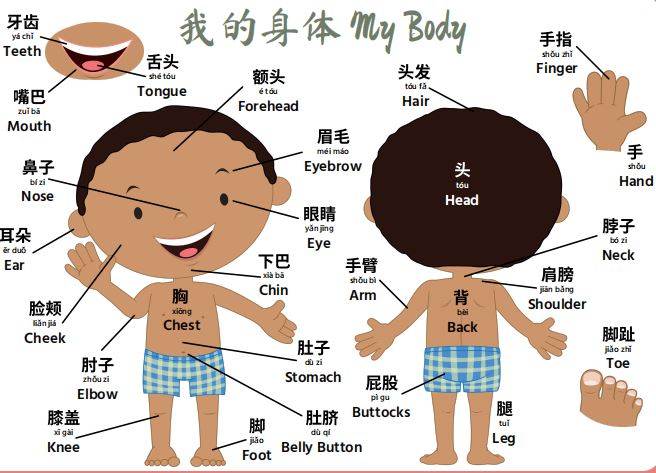 15个主题中英文看图识物高清PDF电子档 百度云网盘